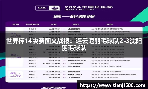 3377体育