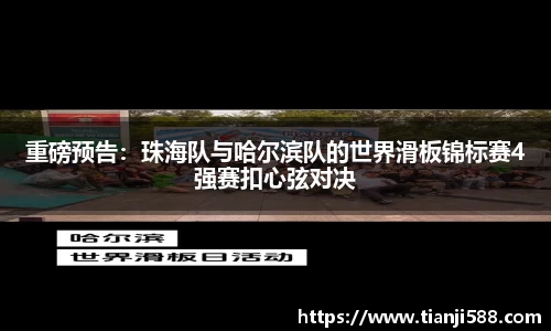 3377官网
